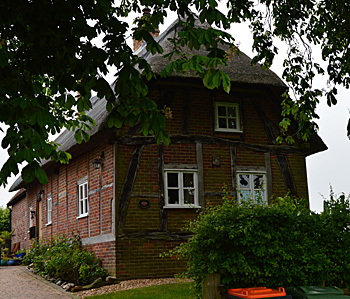 The Cottage June 2013